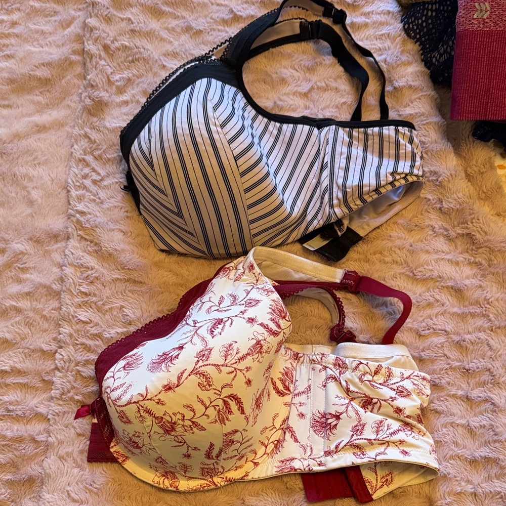 Cacique Black and White Striped Bra & Red and Cream Floral Bra Set